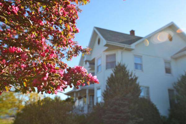 Twin Peaks B&B Mindemoya Exteriér fotografie
